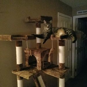 Meet your Posher, Helen